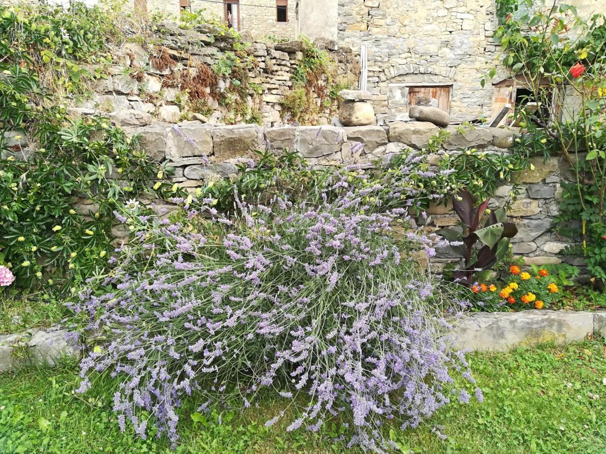 Casa La Abadia De Antin Appartement Liguerre de Ara Buitenkant foto